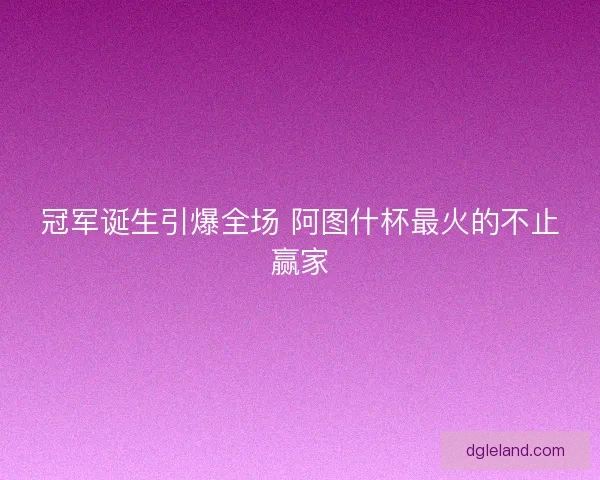 冠军诞生引爆全场 阿图什杯最火的不止赢家