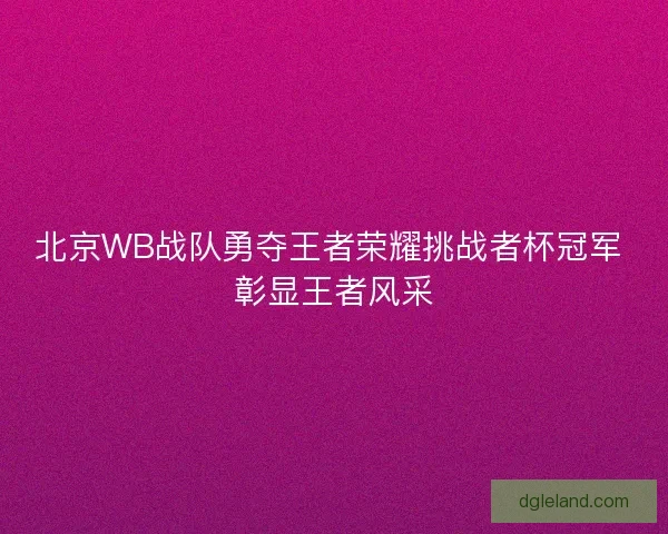 北京WB战队勇夺王者荣耀挑战者杯冠军 彰显王者风采